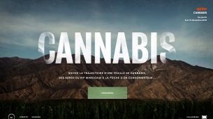 Cannabis (2016)