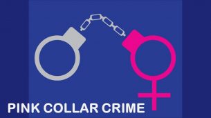 Pink Collar Crimes (2018)