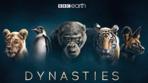 Dynasties (2019)